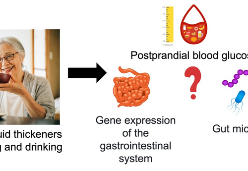 Xanthan gum-based fluid thickener can help decrease blood glucose levels