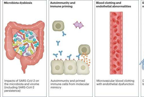 Research review suggests long COVID may last indefinitely for some people and mimic other ailments