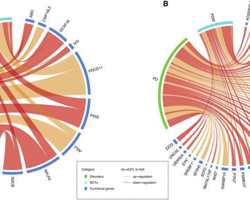 Study finds link between blood components and brain disorders