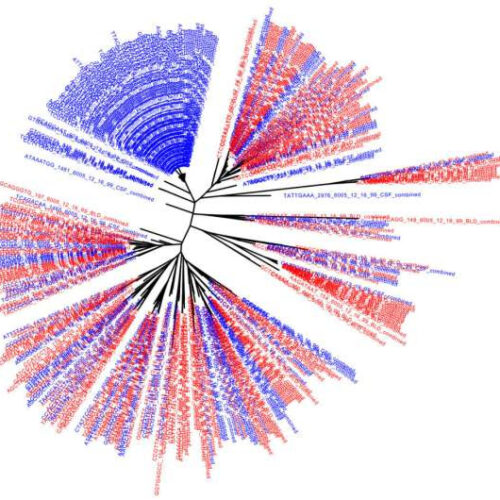 Scientists document two separate reservoirs of latent HIV in patients, delineating another challenge in creating a cure