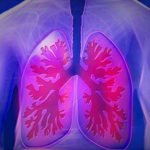 Breathing muscles remain strong after weeks of no training: Gains could improve endurance in those with lung conditions