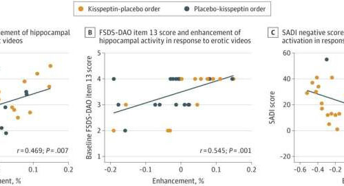 Kisspeptin hormone injection could treat low sex drive in women and men