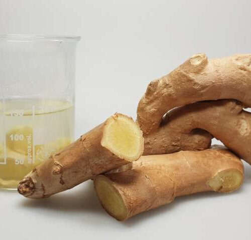 Pungent ginger compound puts immune cells on heightened alert