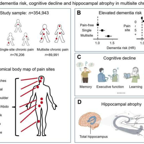 More pain, more burdens: Researchers find link between chronic pain and dementia