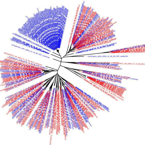 Scientists document two separate reservoirs of latent HIV in patients