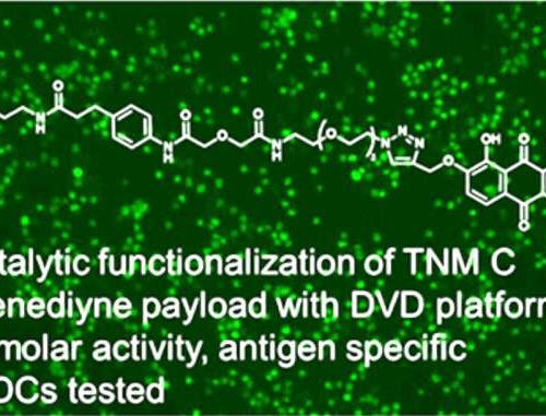 Researchers make major advance with cancer-killing antibody-drug conjugates