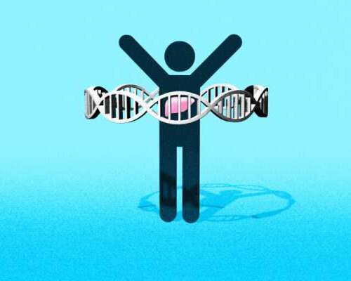 Possible genetic basis and mouse model found for severe nonalcoholic fatty liver disease