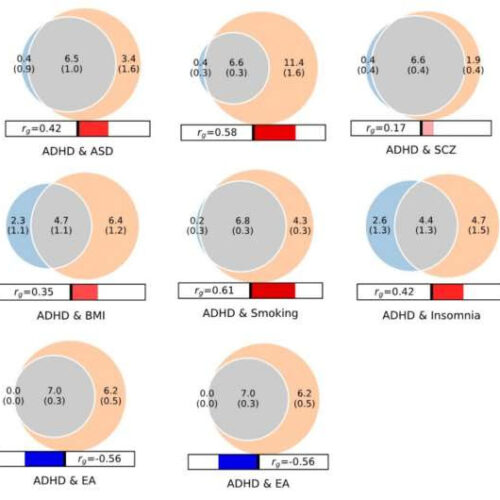 Researchers link 27 genetic variants to ADHD