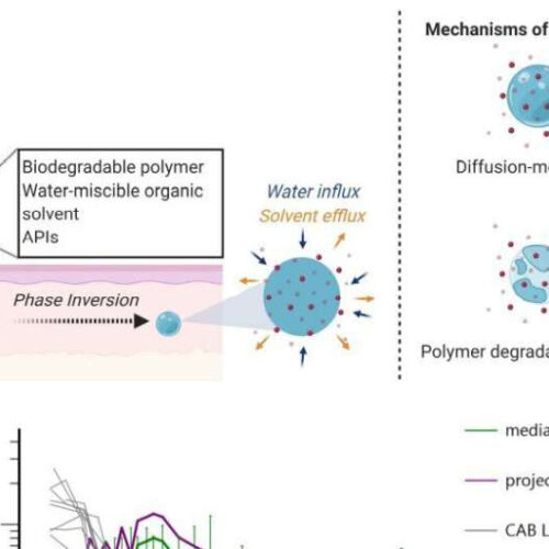 New formulation yields potential long-term HIV protection