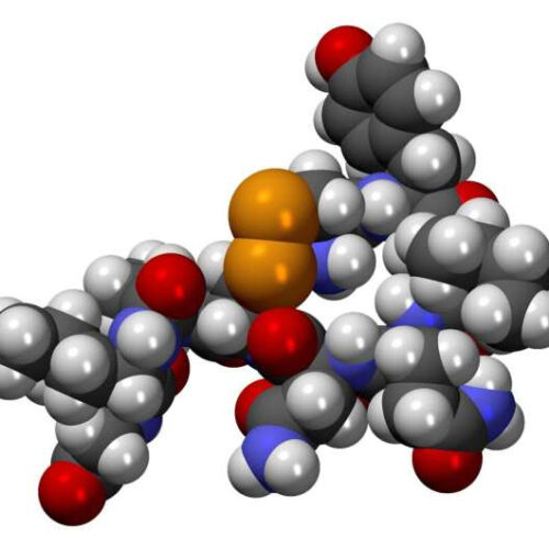 Fresh questions about oxytocin as the ‘love hormone’ behind pair bonding