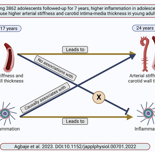 Low-grade inflammation may cause arterial stiffness and preclinical atherosclerosis in otherwise healthy adolescents