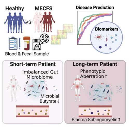 Chronic fatigue syndrome is associated with distinct changes in the microbiome