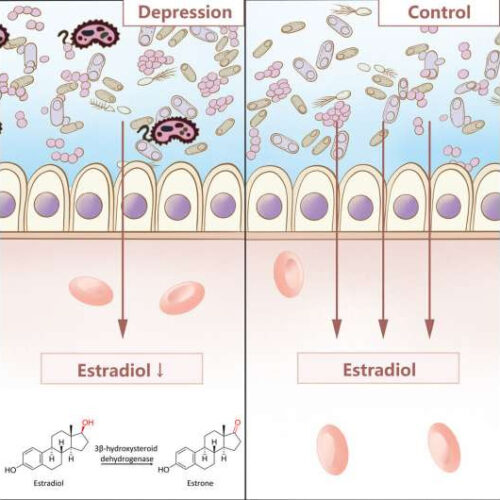 Researchers find a source of depression linked to a single enzyme