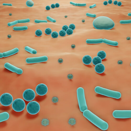 Insight into the Skin Microbiome