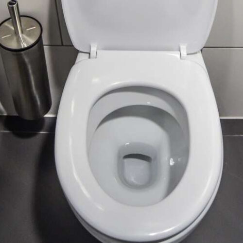 Human feces and urine contain a motherlode of health data: ‘Smart toilets’ detect daily fluctuations, serious disease