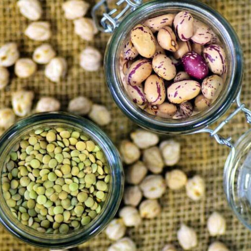 Common meat-free proteins may trigger soybean and peanut allergies in some people