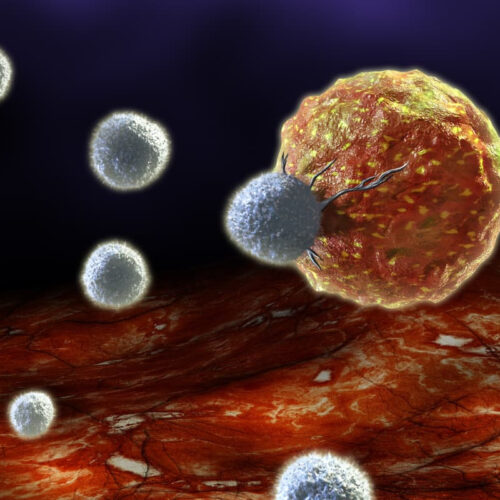 Experimental vaccine reprograms cancer to launch immunotherapy attack