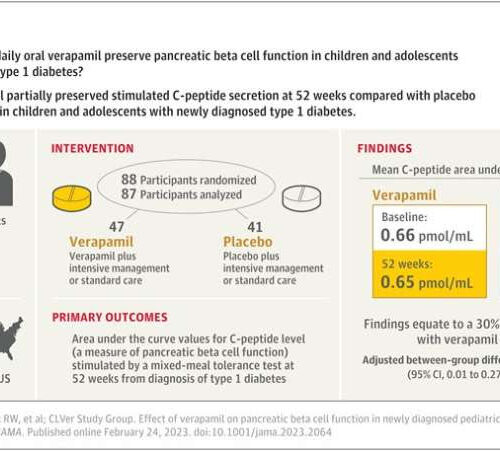 Verapamil shows beneficial effect on the pancreas in children with newly-diagnosed type 1 diabetes