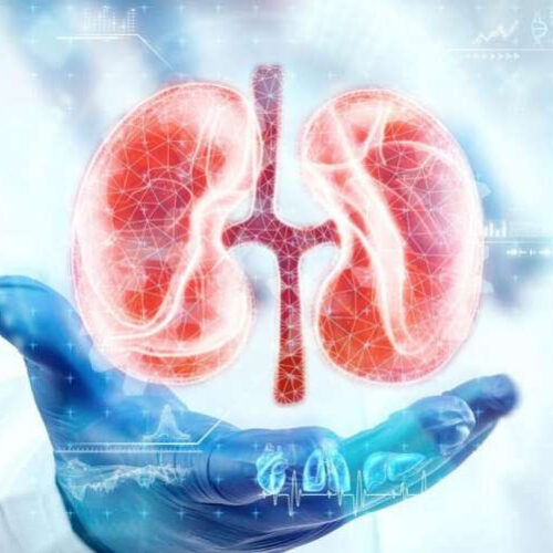 Regulatory protein offers a protective effect in the diabetic kidney