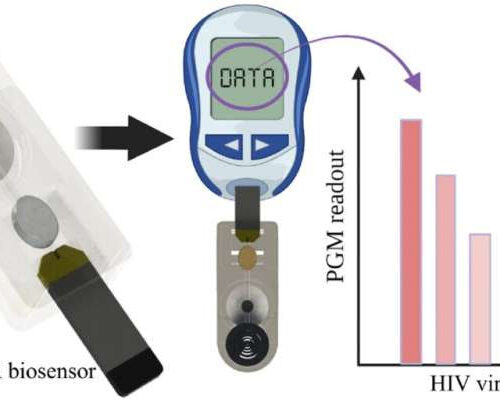 Researchers develop simple, affordable HIV testing device