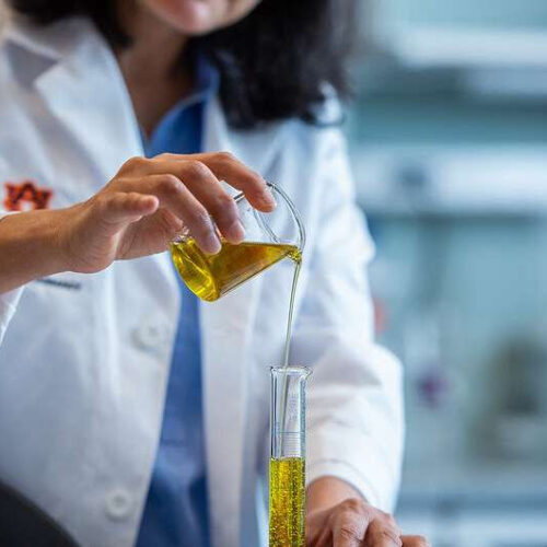 Researcher finds olive oil to improve brain health, memory in mild cognitive impairment individuals