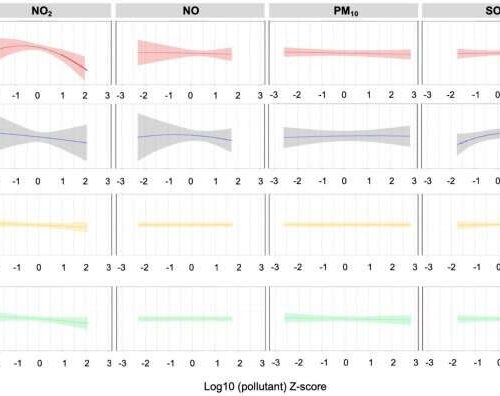 Large study finds that air pollution speeds bone loss from osteoporosis