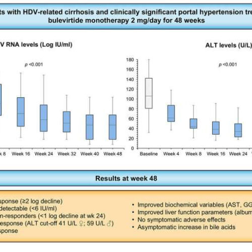 Real-world studies confirm effectiveness of bulevirtide to treat chronic hepatitis D