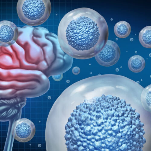 Biological oxygen tank for stem cells boosts brain tissue repair