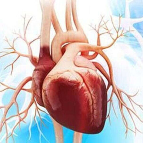 Statin use low for primary prevention of atherosclerotic cardiovascular disease