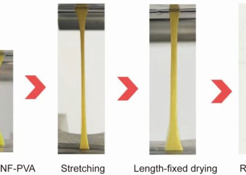 HKU Mechanical Engineering team develops multifunctional tendon-mimetic hydrogels