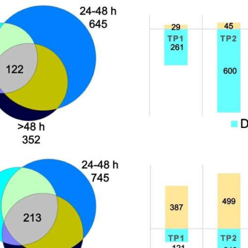 Researchers identify genes that can improve stroke diagnosis and treatment