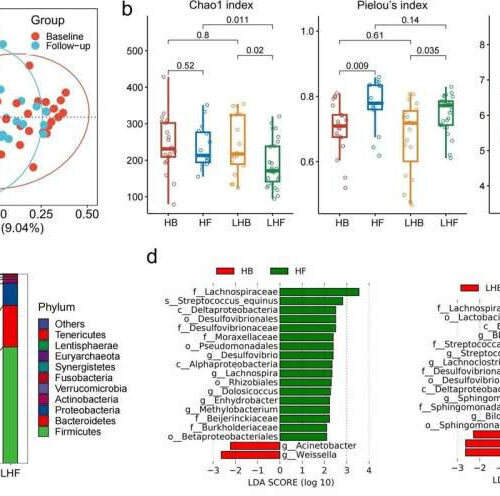 Probiotic company finds links between youthful gut microbiota and potential centenarians