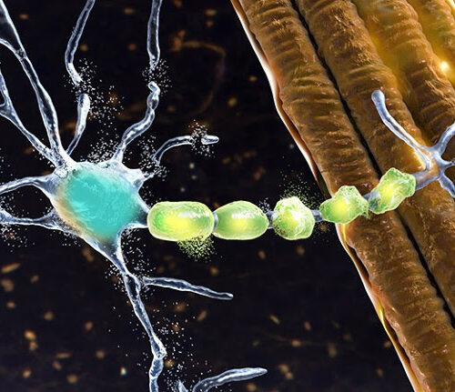 Hotly anticipated ALS drug could pave way for more brain treatments