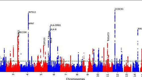 Using machine learning applications to predict patients’ risk of developing COPD