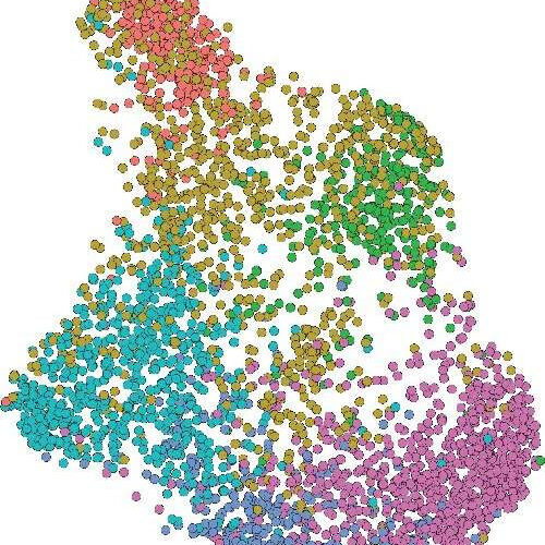 How cancer evades immune system detection and spreads