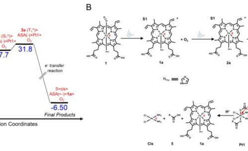 Team develops anticancer nanoparticles with ultrasound activation