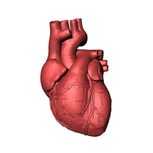 Novel ablation strategy improves freedom from arrhythmias in atrial fibrillation patients