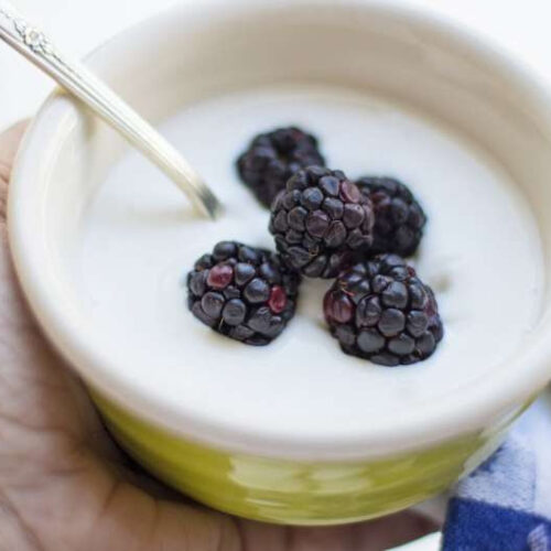 Full-fat yogurt helps lower glucose levels in people with prediabetes, finds research