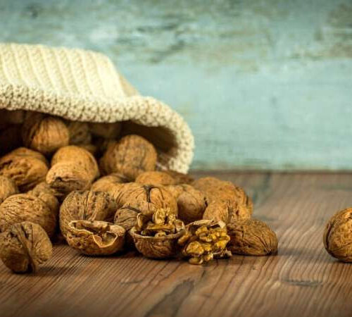 Eating walnuts could benefit adolescents’ cognitive development, contribute to psychological maturation