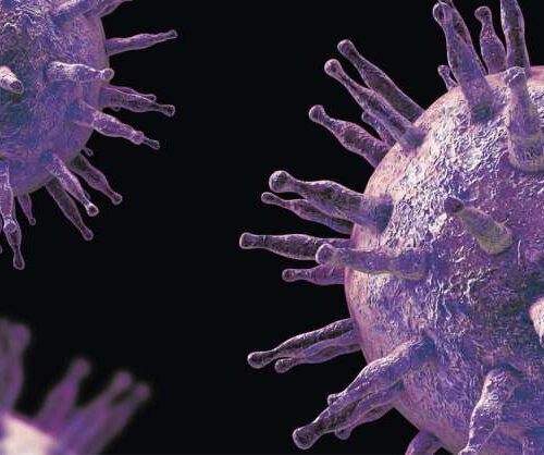 How a virus causes chromosomal breakage, leading to cancer