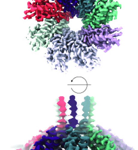 Pulling the plug on viral infections: CRISPR isn’t just about cutting