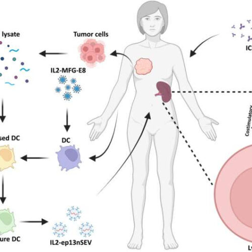 Bioengineering active immunotherapy for personalized cancer treatment