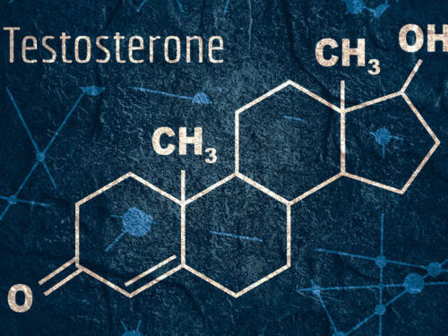 Testosterone might improve prosocial learning in men, according to new research