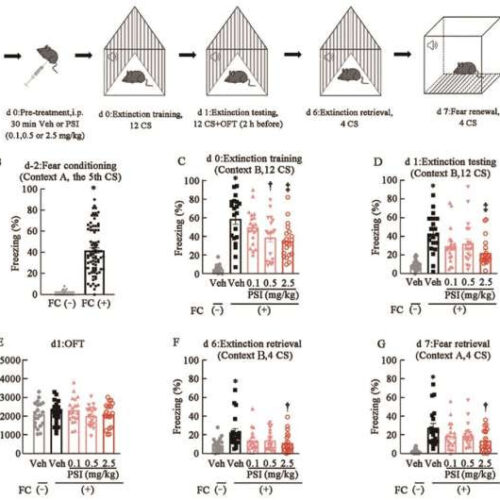 Study suggests psilocybin could help treat fear-based and other mental disorders