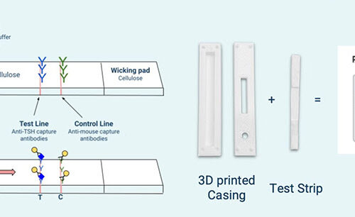 Paper Strip Tests for Hypothyroidism