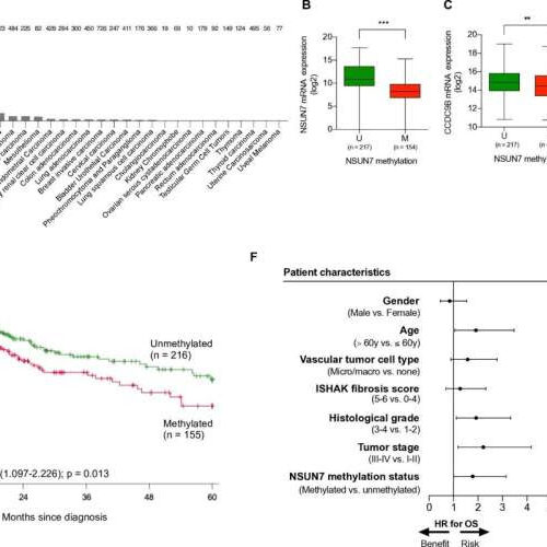 Epigenetic mechanism associated with clinical outcome and therapeutic vulnerability in liver cancer