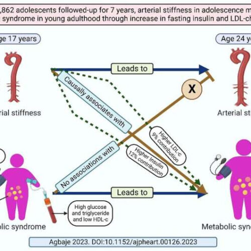 Arterial stiffness may cause metabolic syndrome in adolescents via an increase in fasting insulin and LDL cholesterol