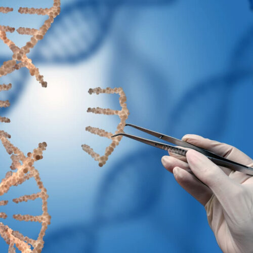 Special cell-penetrating peptides turn the PAGE for next-gen gene editing