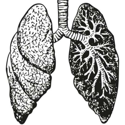 Tiny protein apparently produces titanic impact in the lungs when encountering bacterial pneumonia