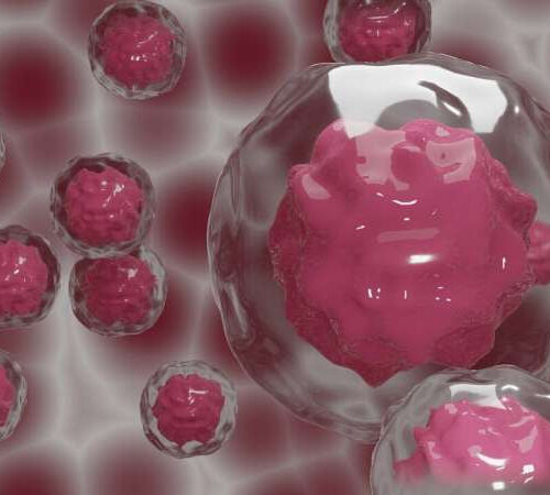 Molecular trigger for breast cancer development identified endocrinology & metabolism